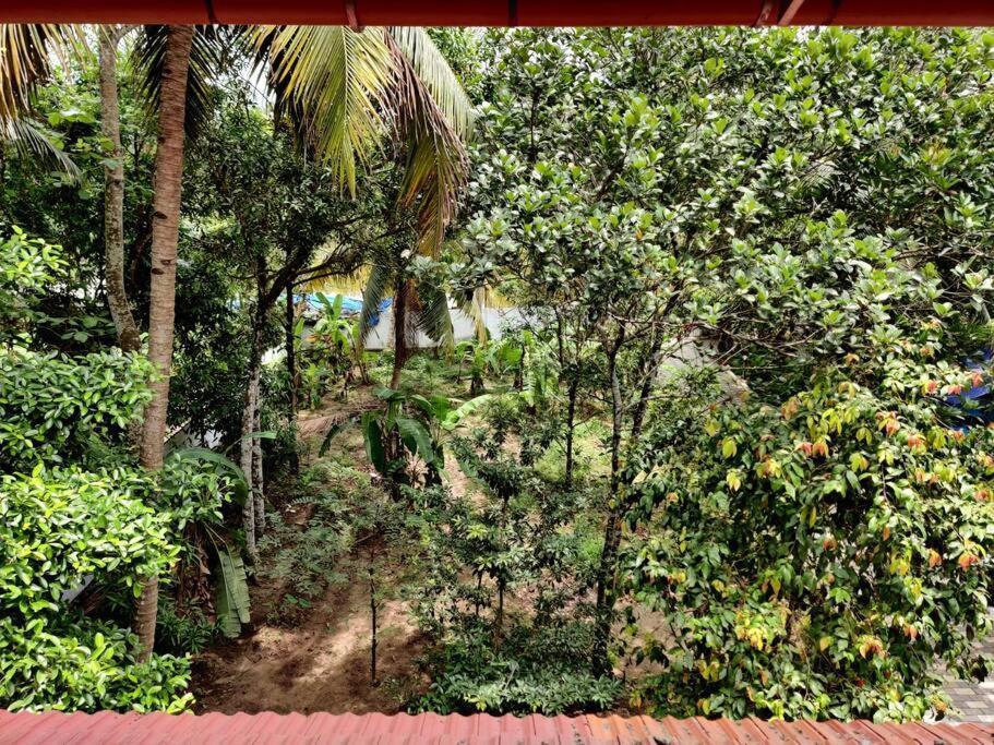 Anandam Stays - Premium 3Bhk Plush Homestay, Vaikom Near Kumarakom Eksteriør bilde